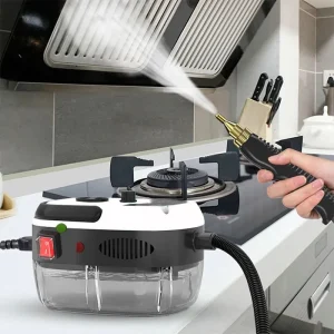 2025 NEW Steam Cleaner High Temperature Disinfection Air Conditioning Kitchen Range Hood Household/Car Steam Cleaner 220V